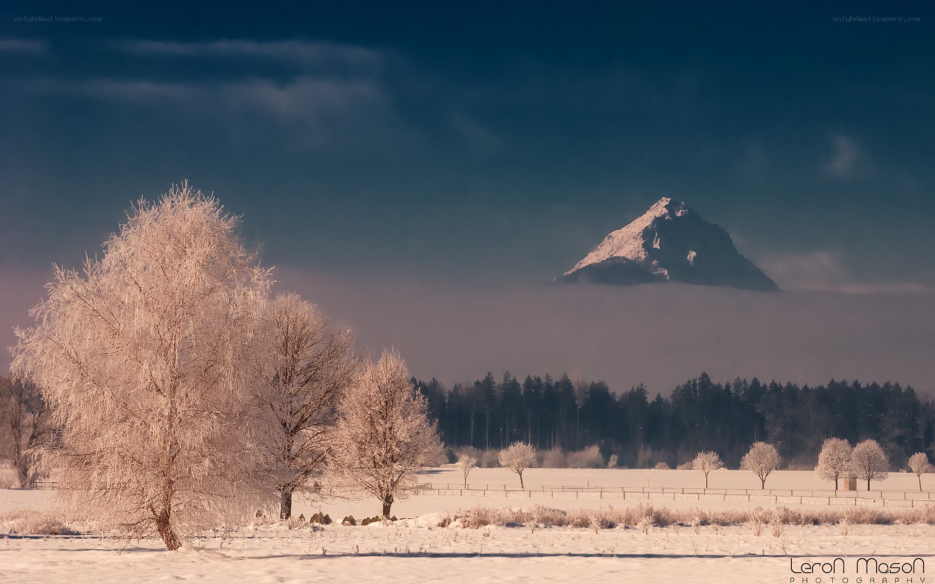Snowy landscape with mountain