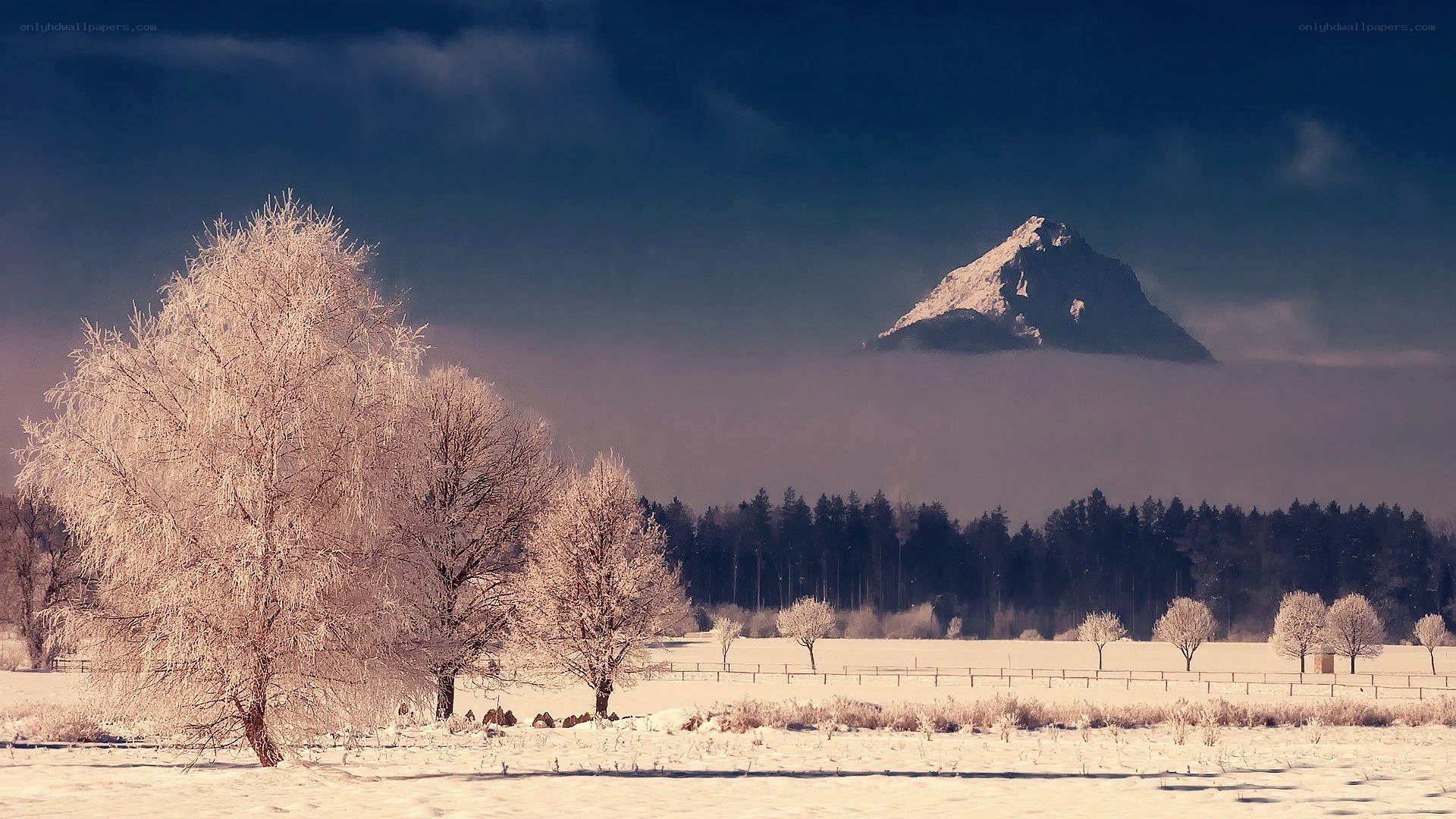 Snowy landscape with mountain