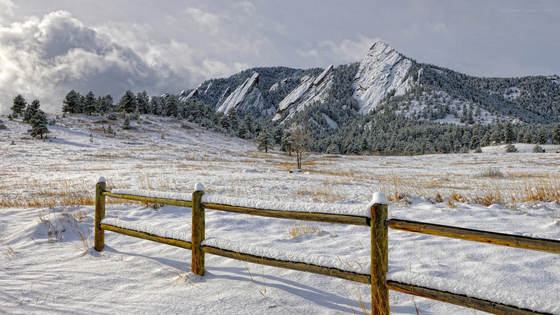Snowy landscape with mountains