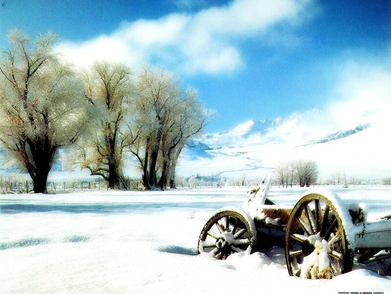 Snowy landscape with old cart