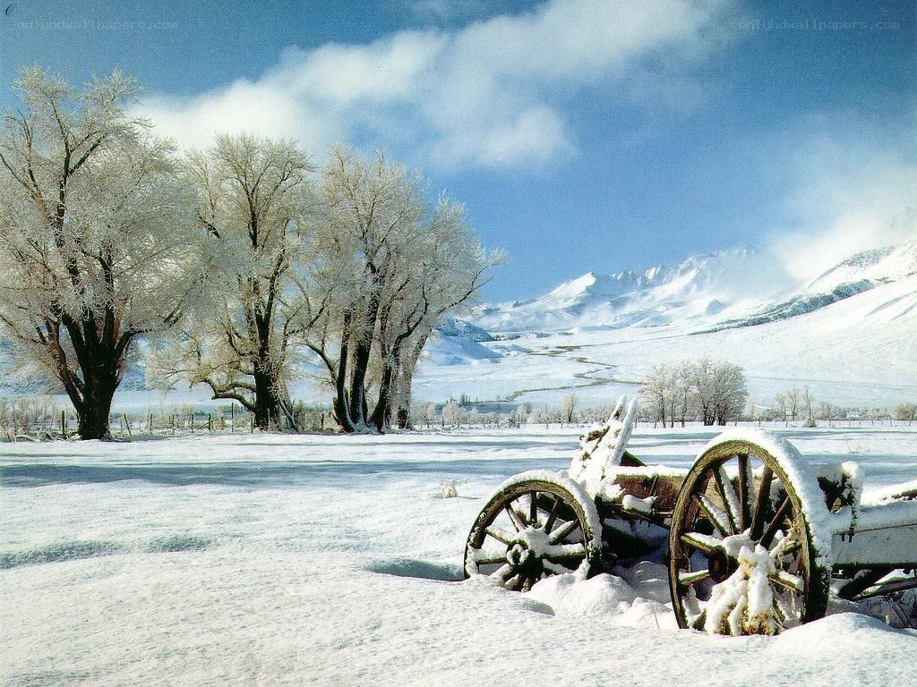 Snowy landscape with old cart