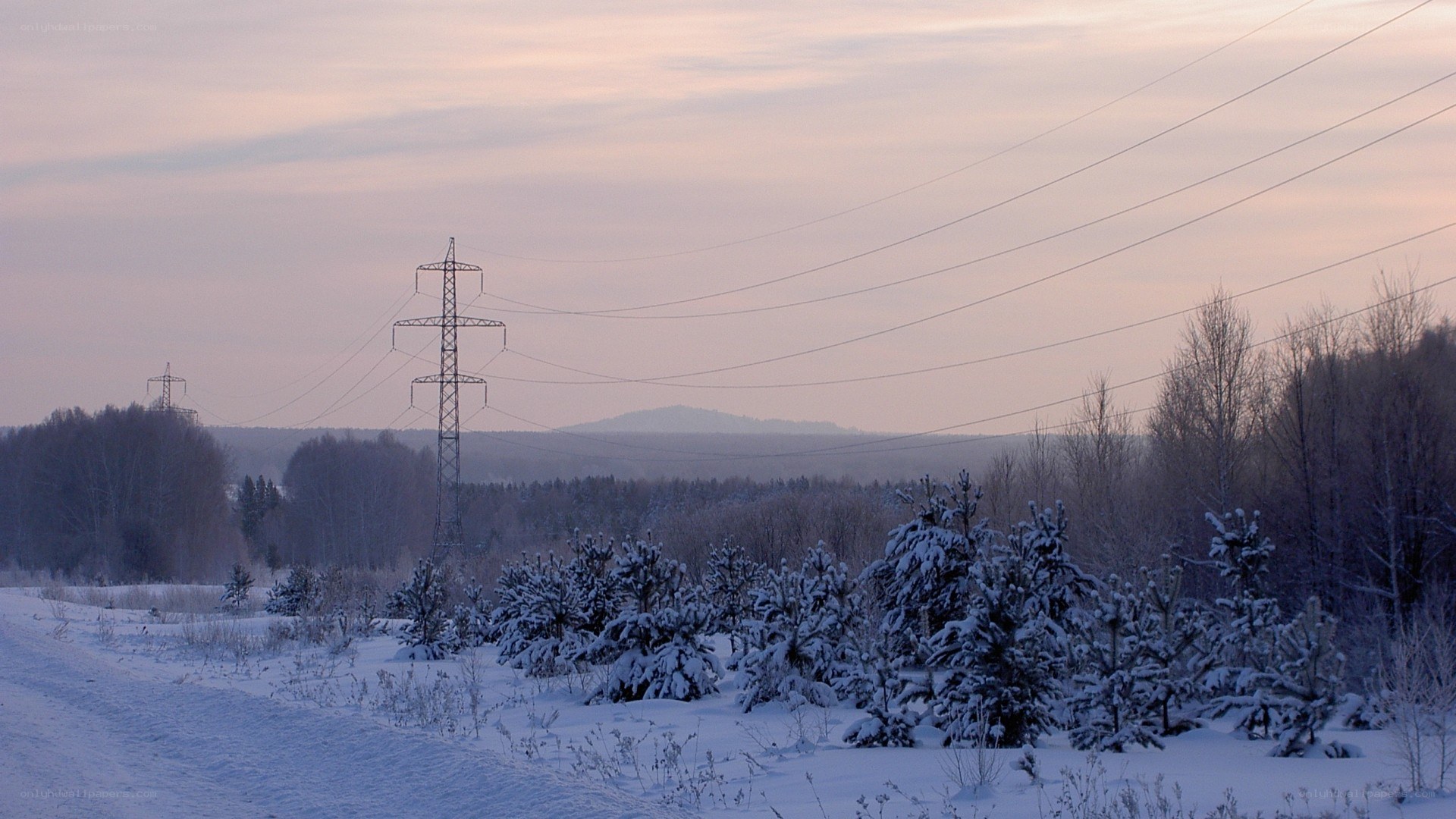 Snowy landscape with power lines