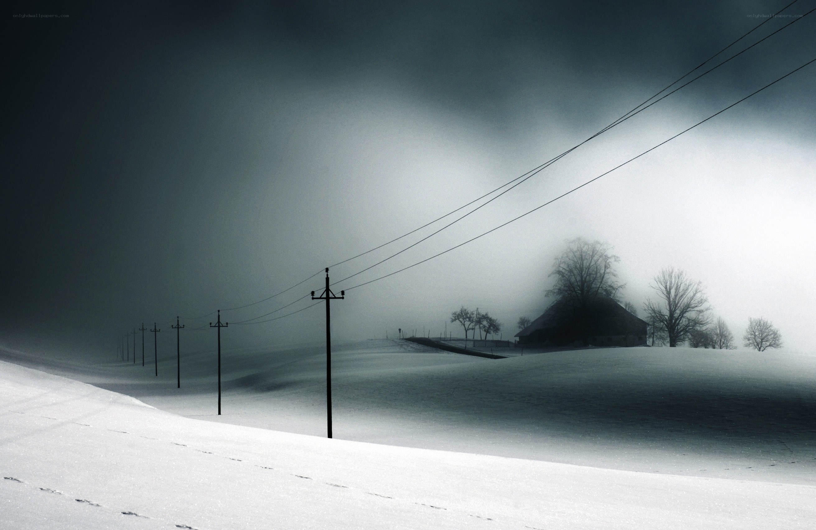 Snowy landscape with power lines