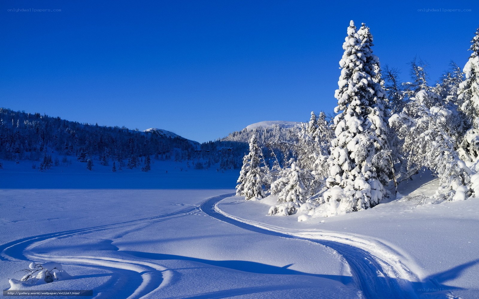 Snowy landscape with ski tracks