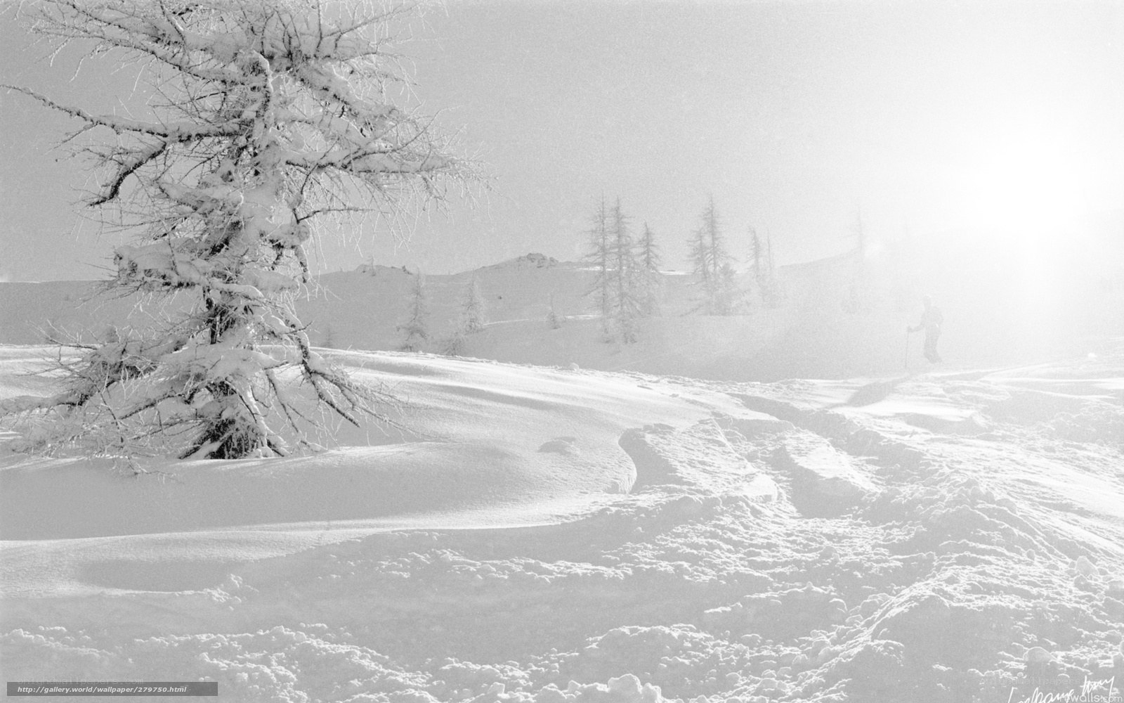 Snowy landscape with skier