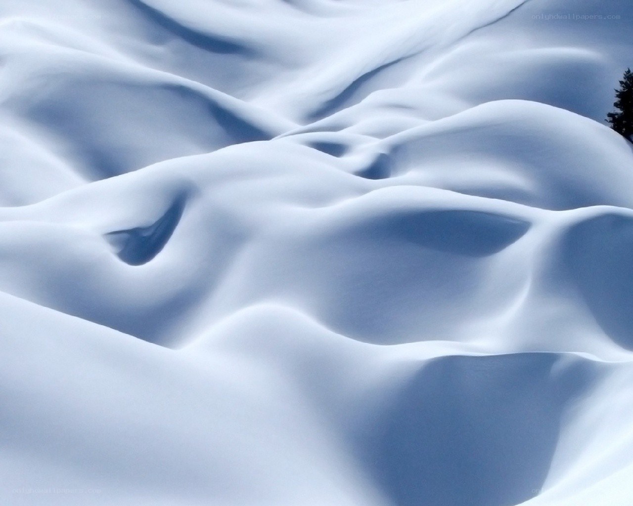 Snowy landscape with soft drifts