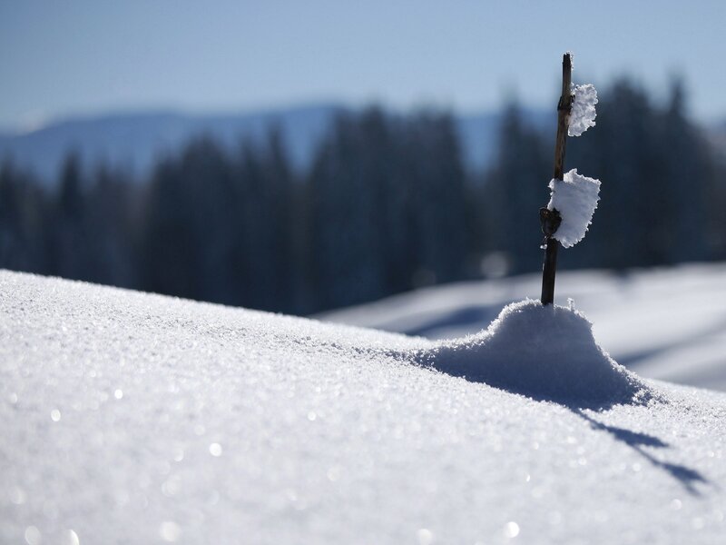Snowy landscape with stick marker