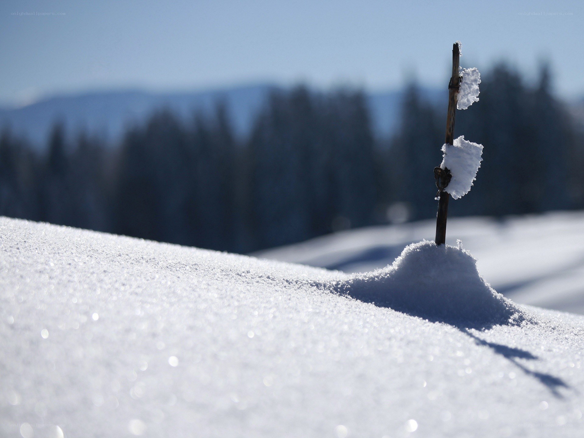Snowy landscape with stick marker