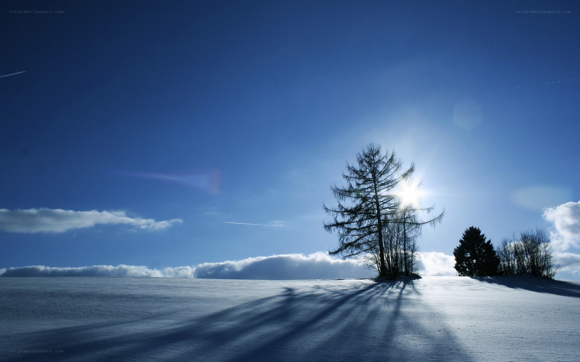 Snowy landscape with sun