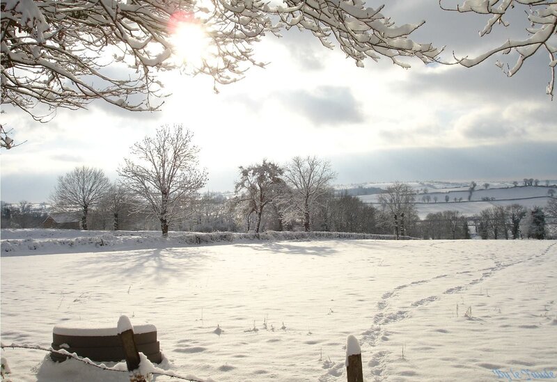 Snowy landscape with sun
