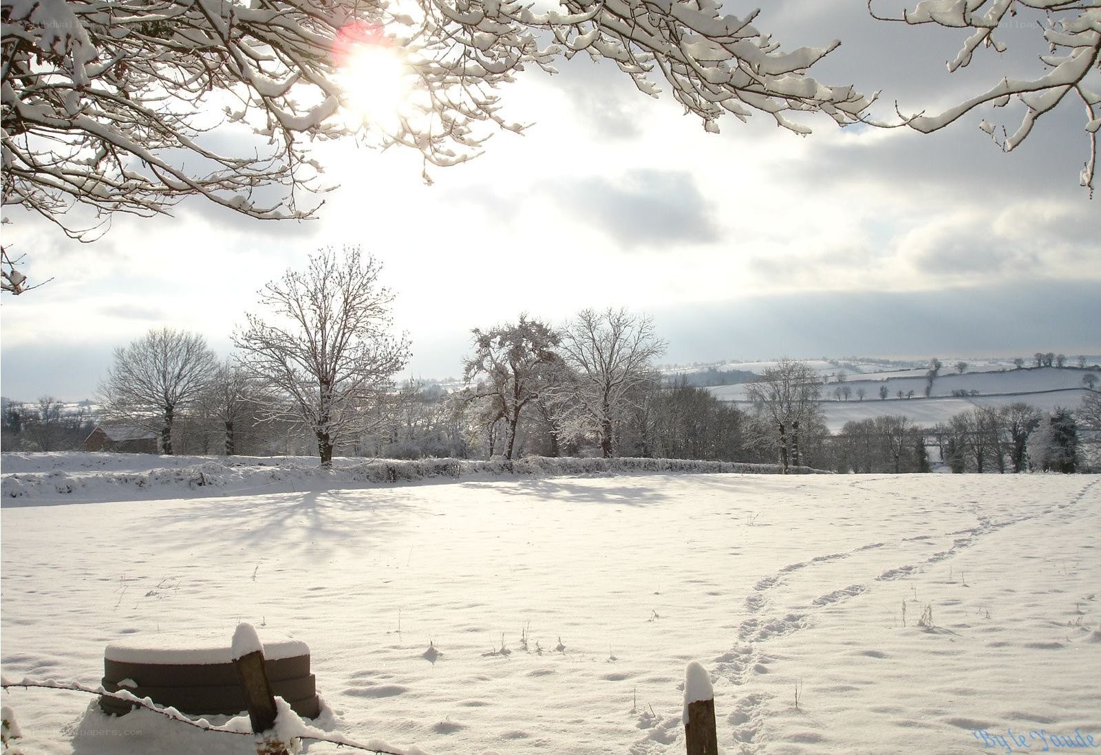 Snowy landscape with sun
