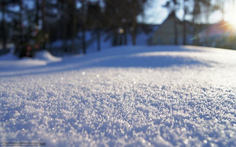 Snowy landscape with sunlight