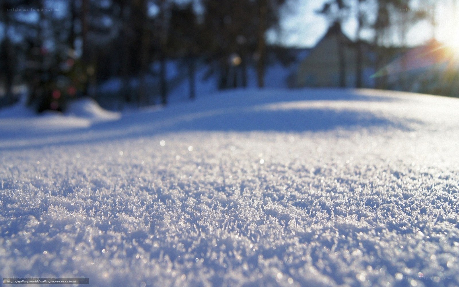 Snowy landscape with sunlight
