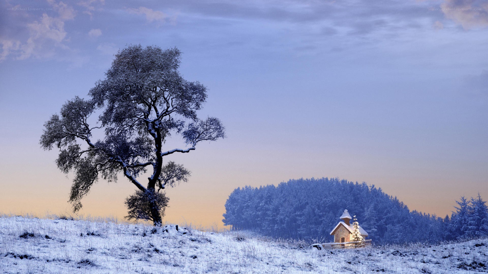 Snowy landscape with tree and chapel