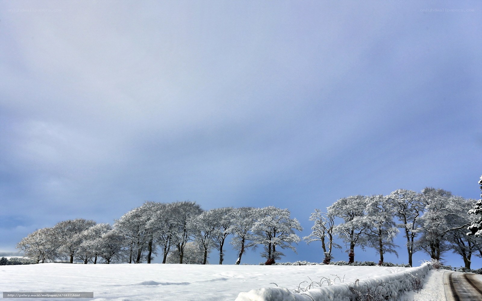 Snowy landscape with trees