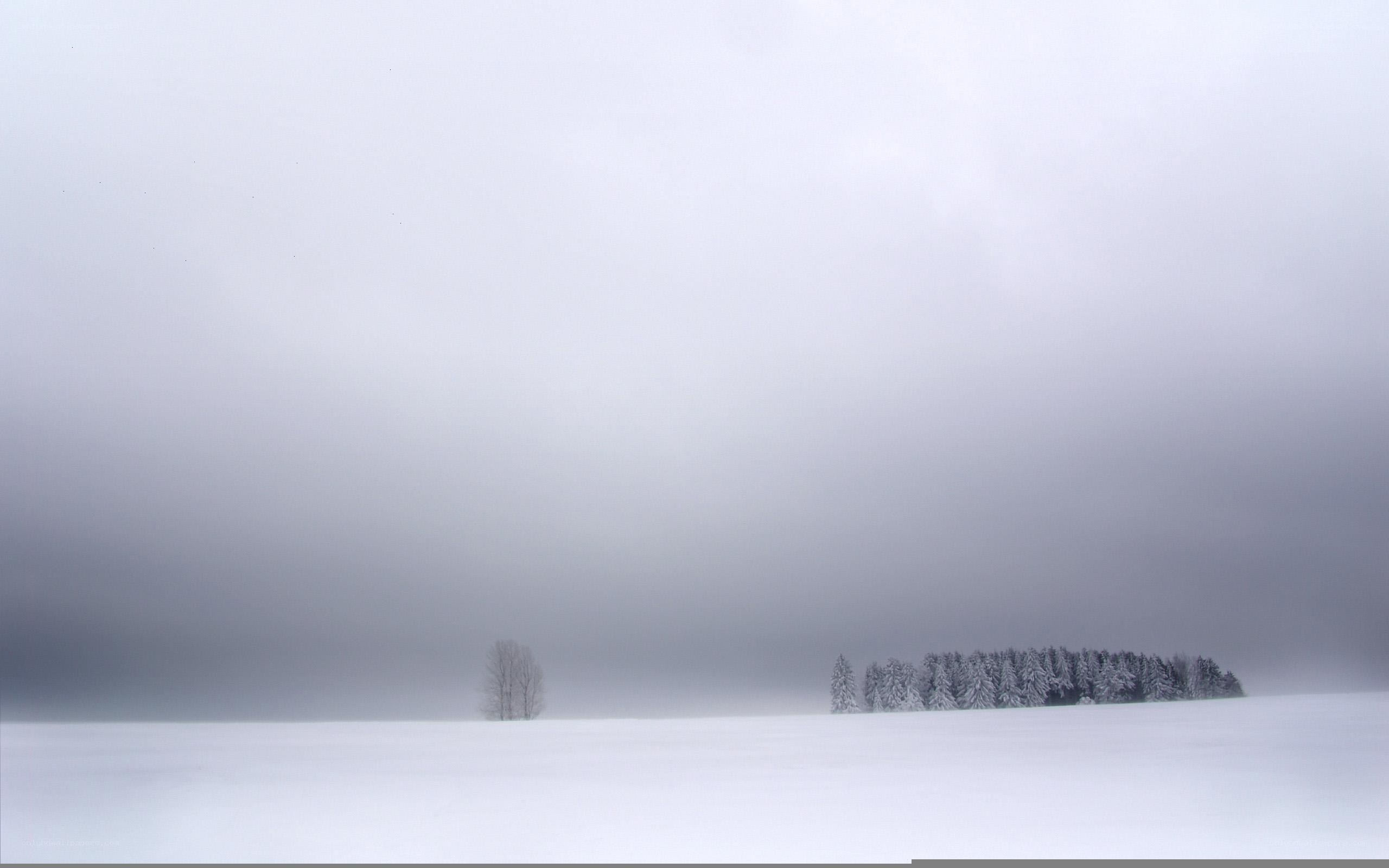 Snowy landscape with trees