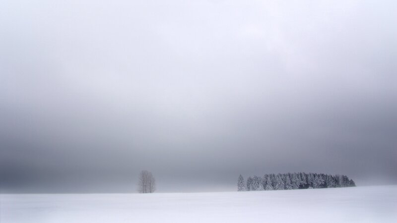 Snowy landscape with trees