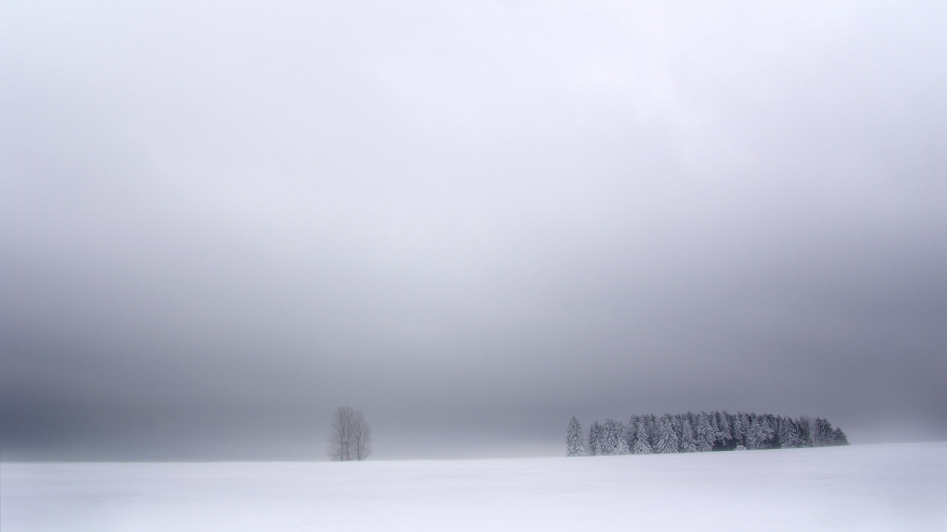 Snowy landscape with trees