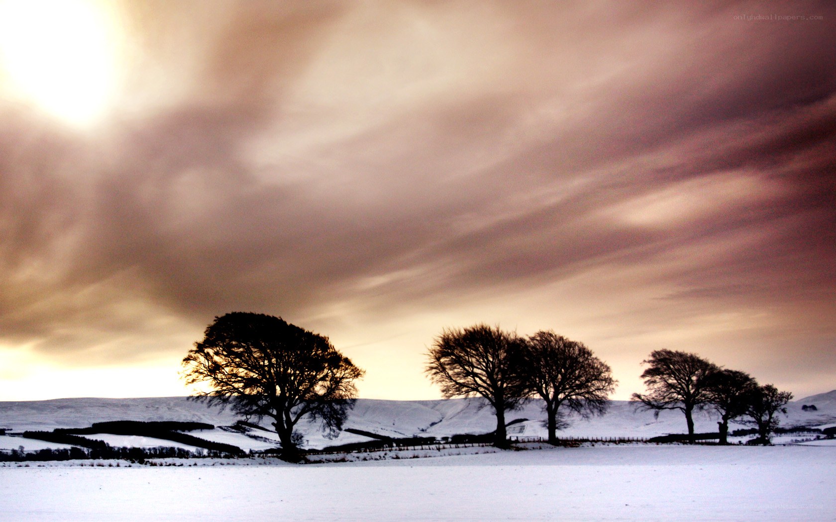 Snowy landscape with trees