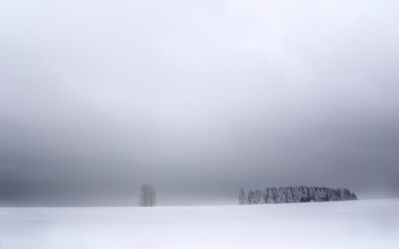 Snowy landscape with trees
