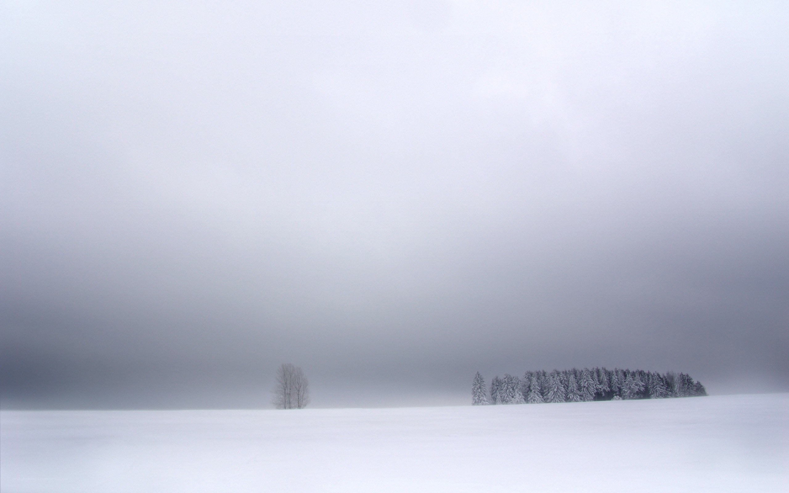 Snowy landscape with trees