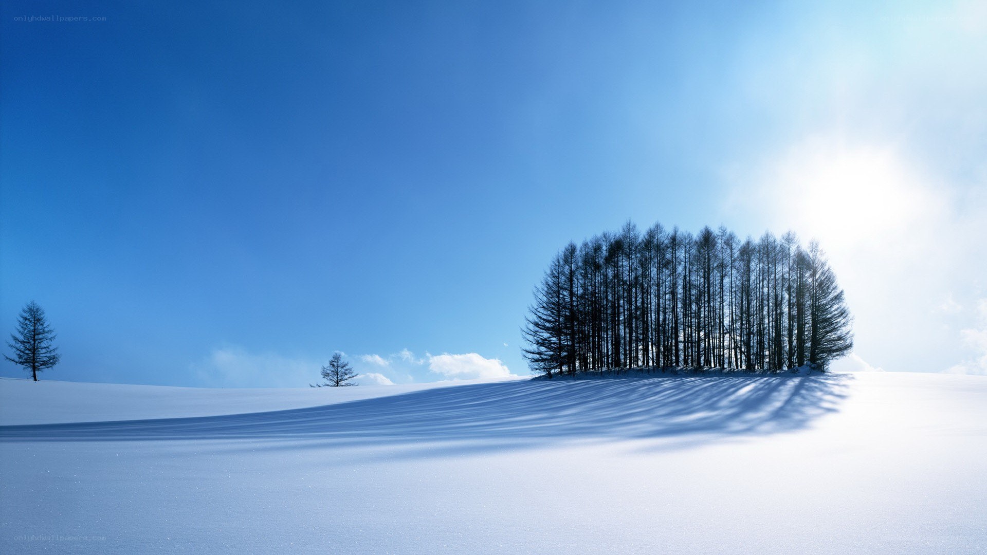 Snowy landscape with trees