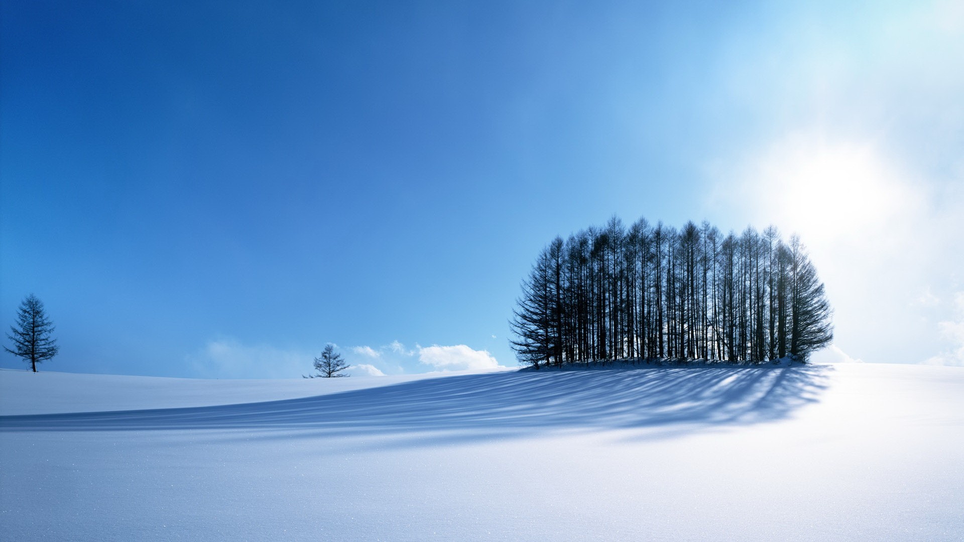 Snowy landscape with trees