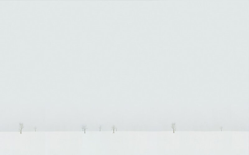 Snowy landscape with trees