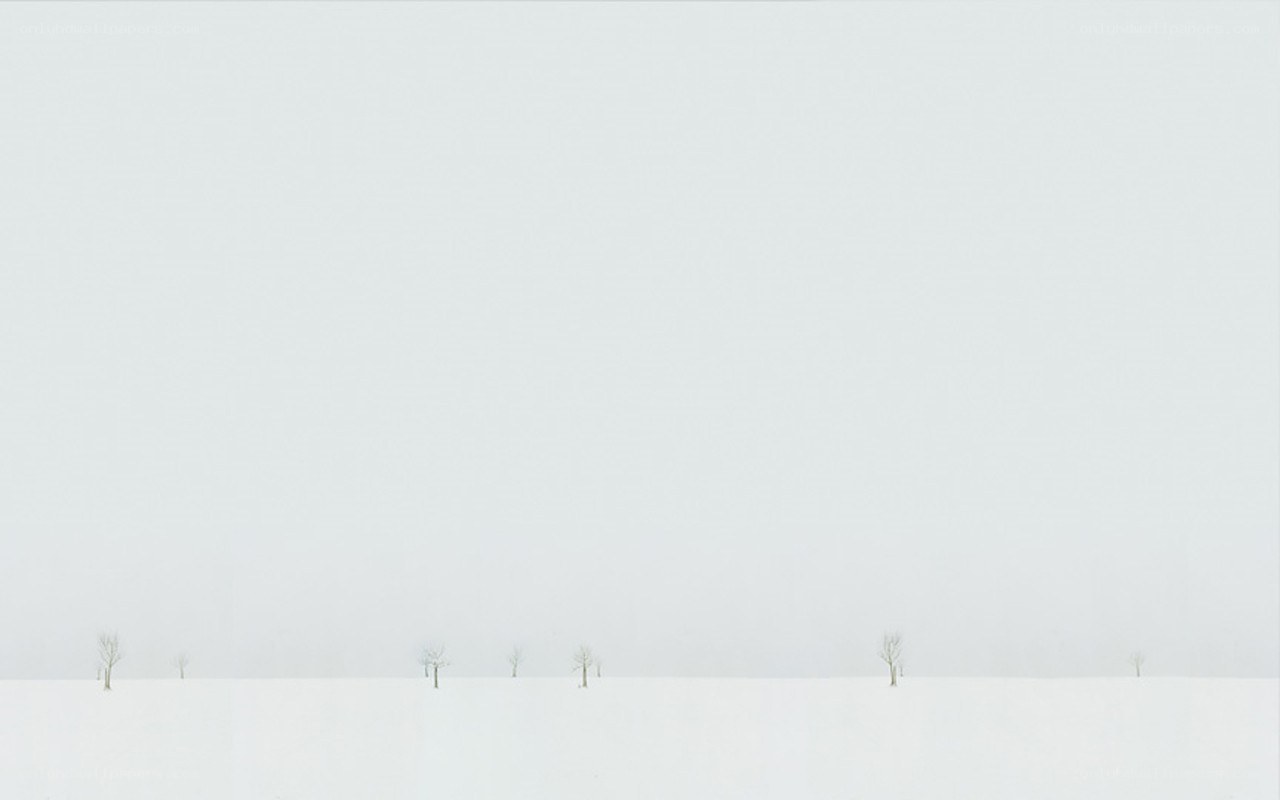 Snowy landscape with trees