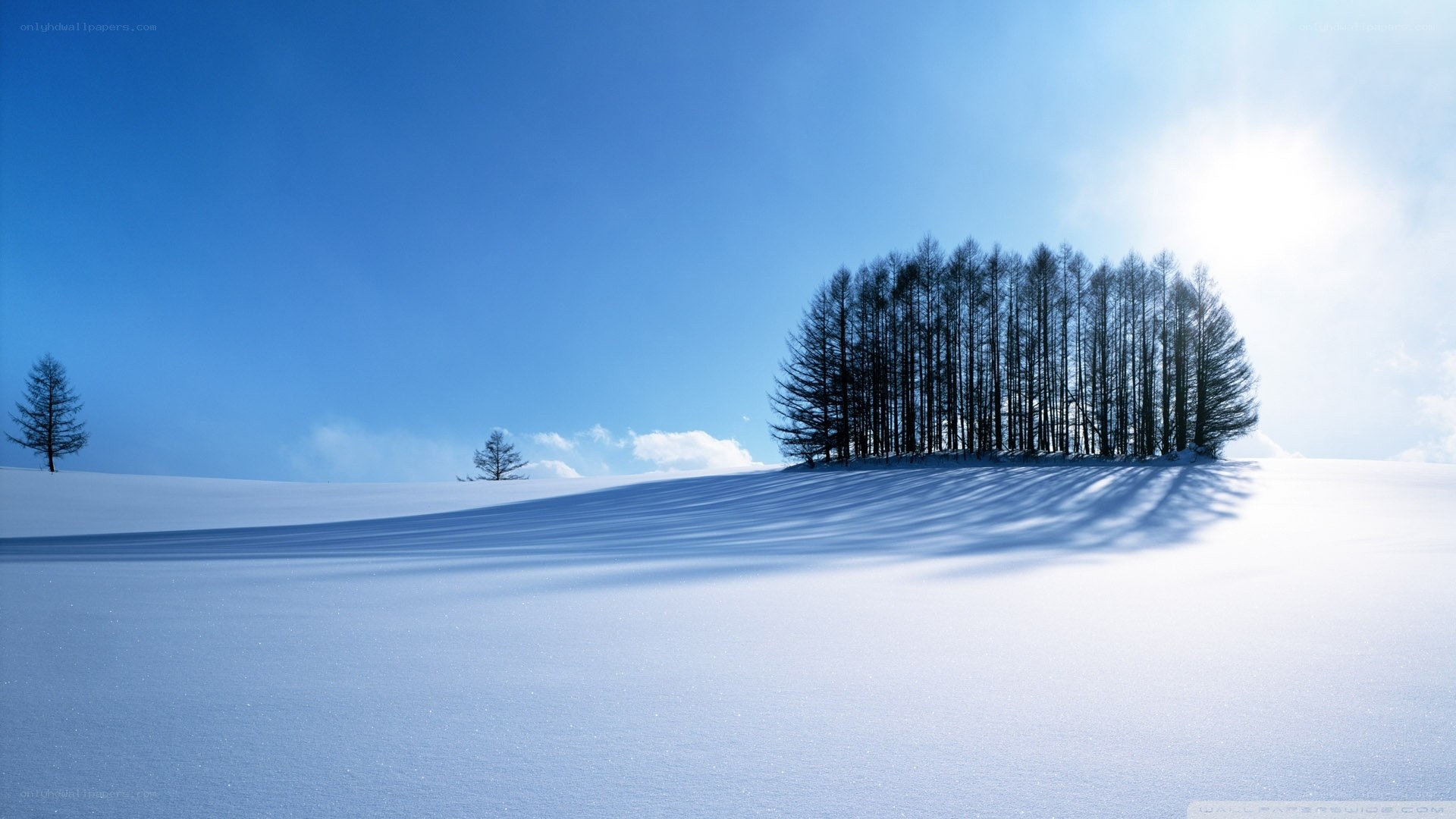 Snowy landscape with trees