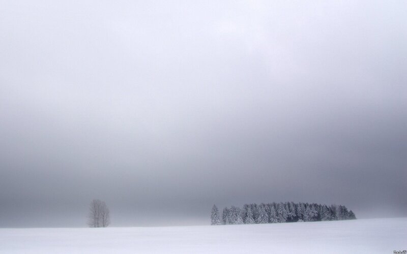 Snowy landscape with trees