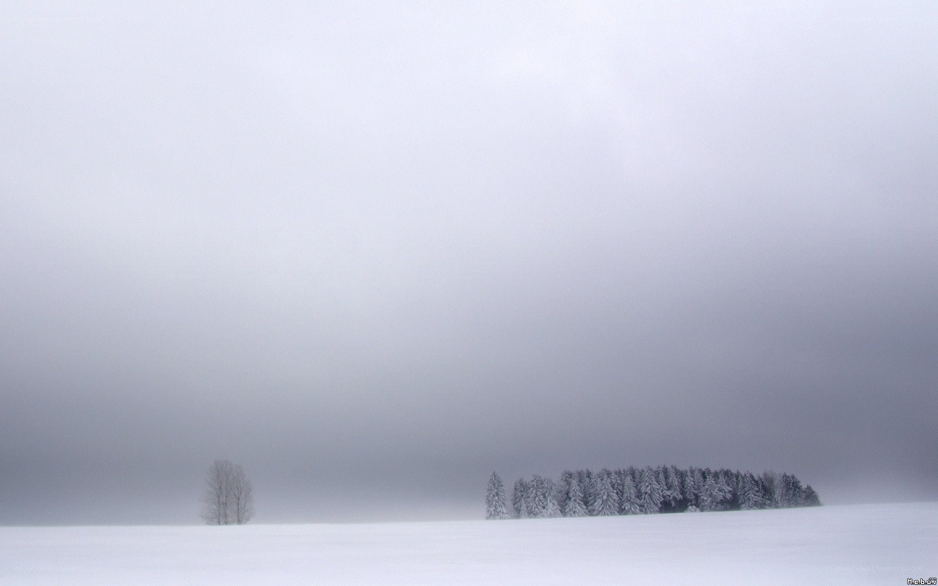 Snowy landscape with trees