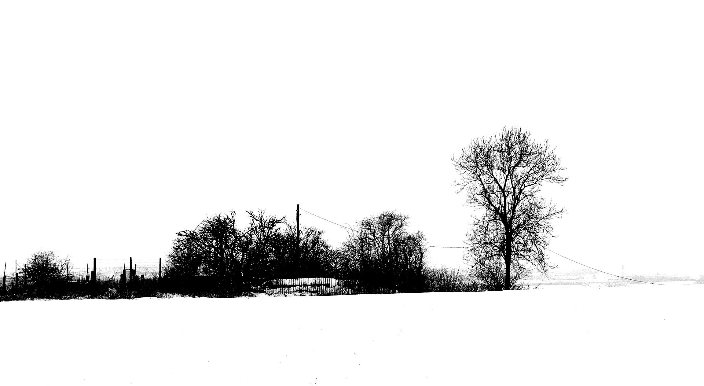 snowy landscape with trees