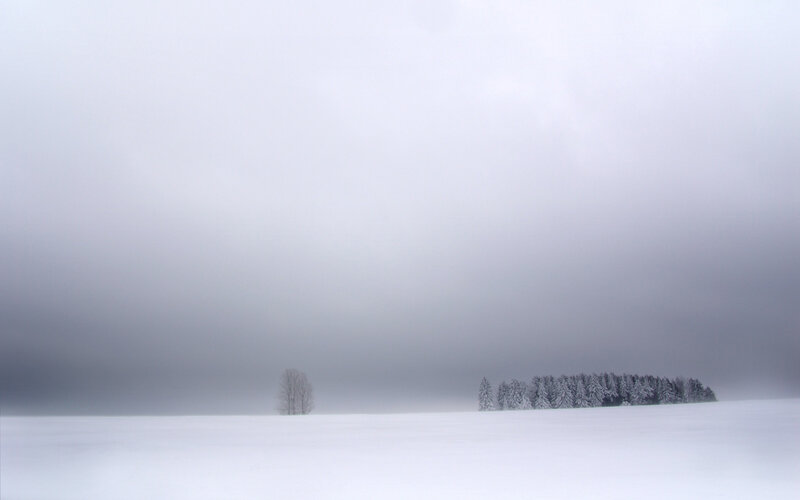 Snowy landscape with trees