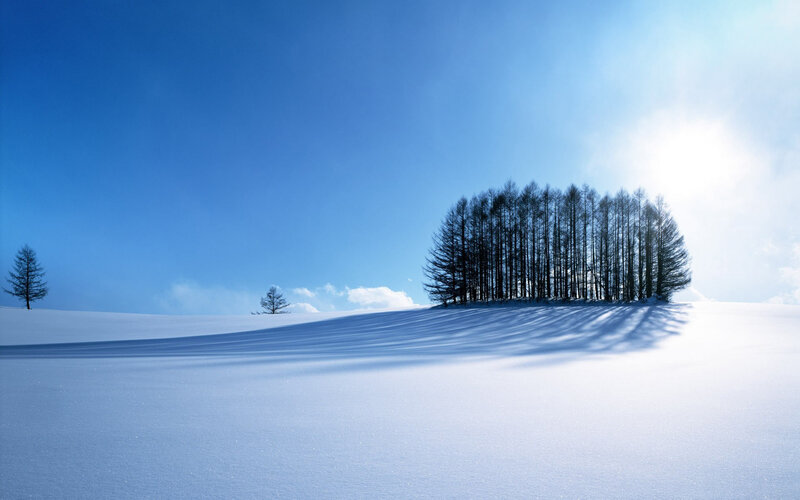 Snowy landscape with trees
