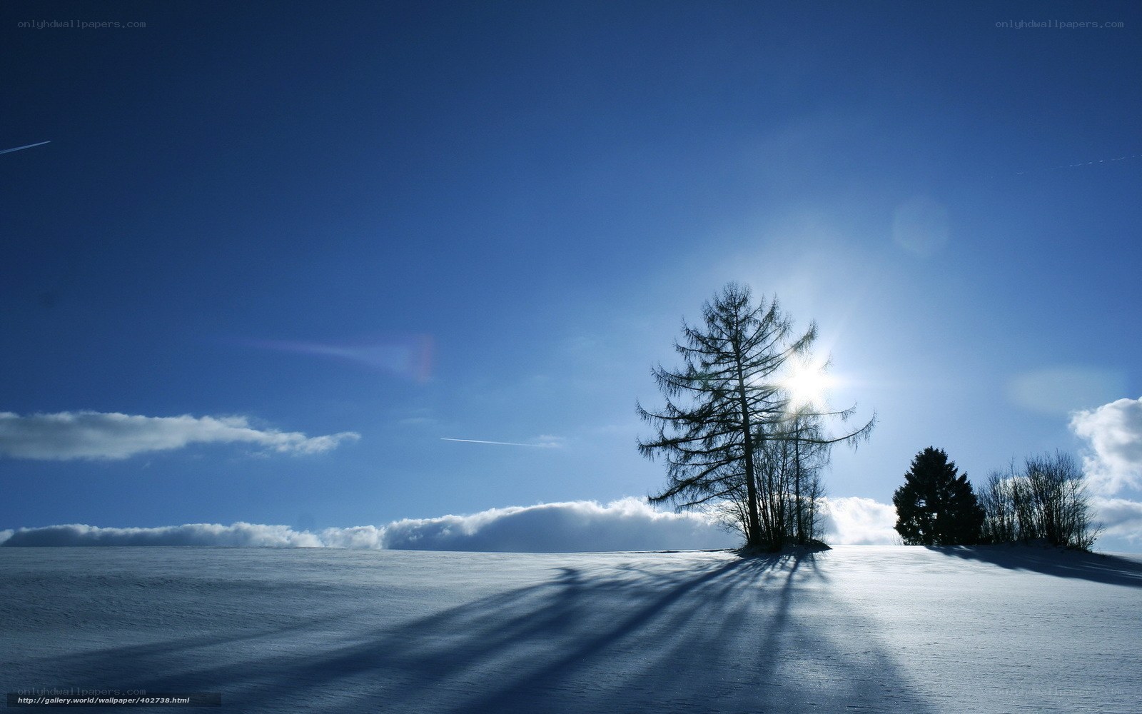 Snowy landscape with trees