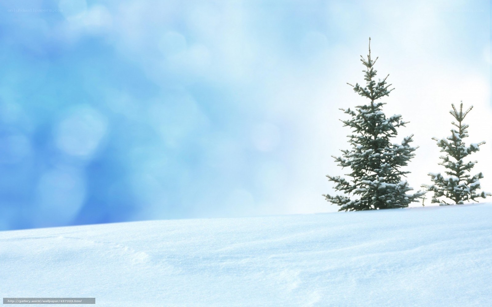 Snowy landscape with trees