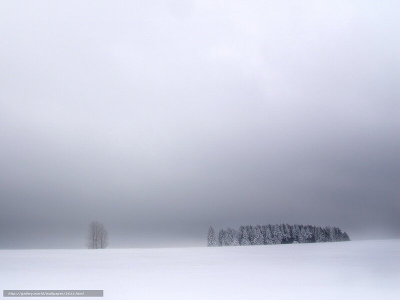 Snowy landscape with trees