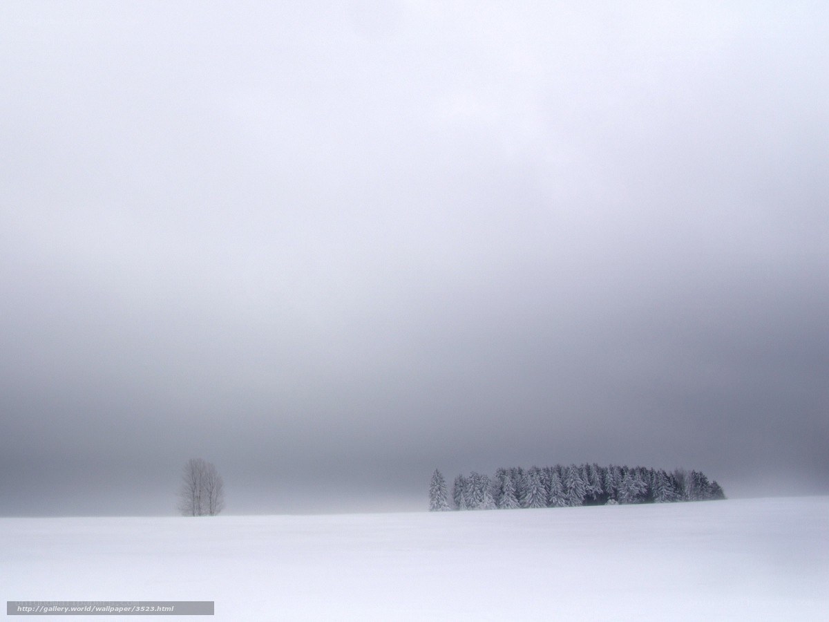Snowy landscape with trees