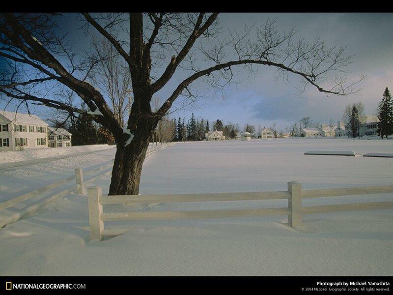 Snowy landscape with white fence