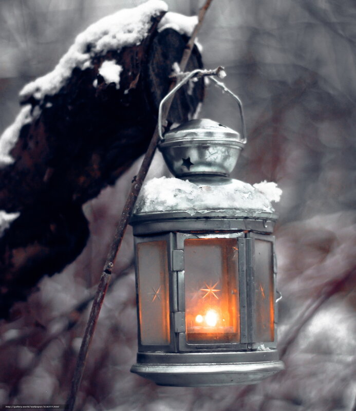 snowy lantern in winter