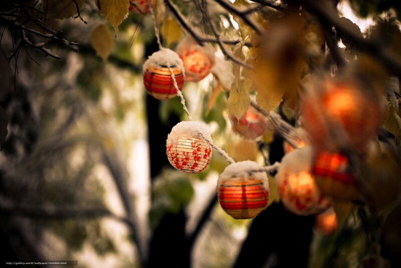 Snowy lanterns on tree branches