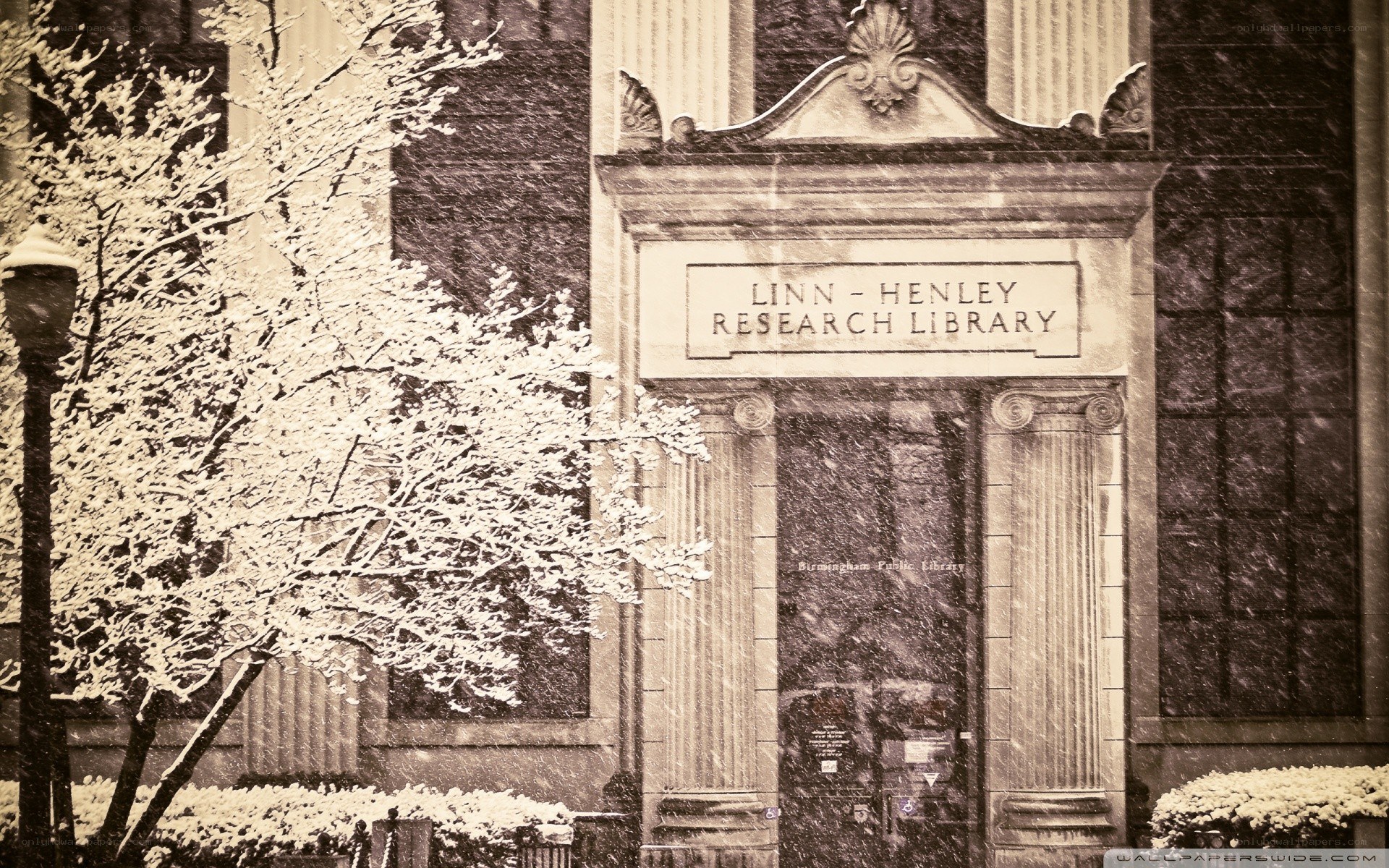 Snowy library entrance