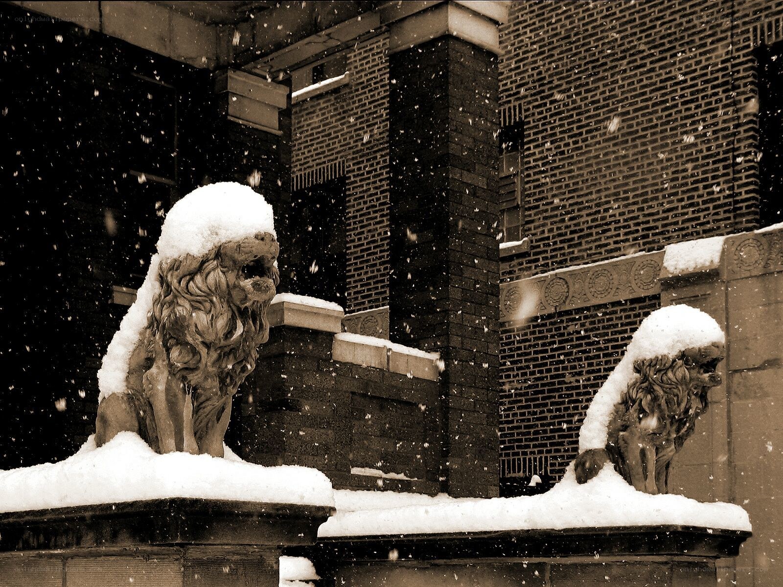 Snowy lion statues in winter