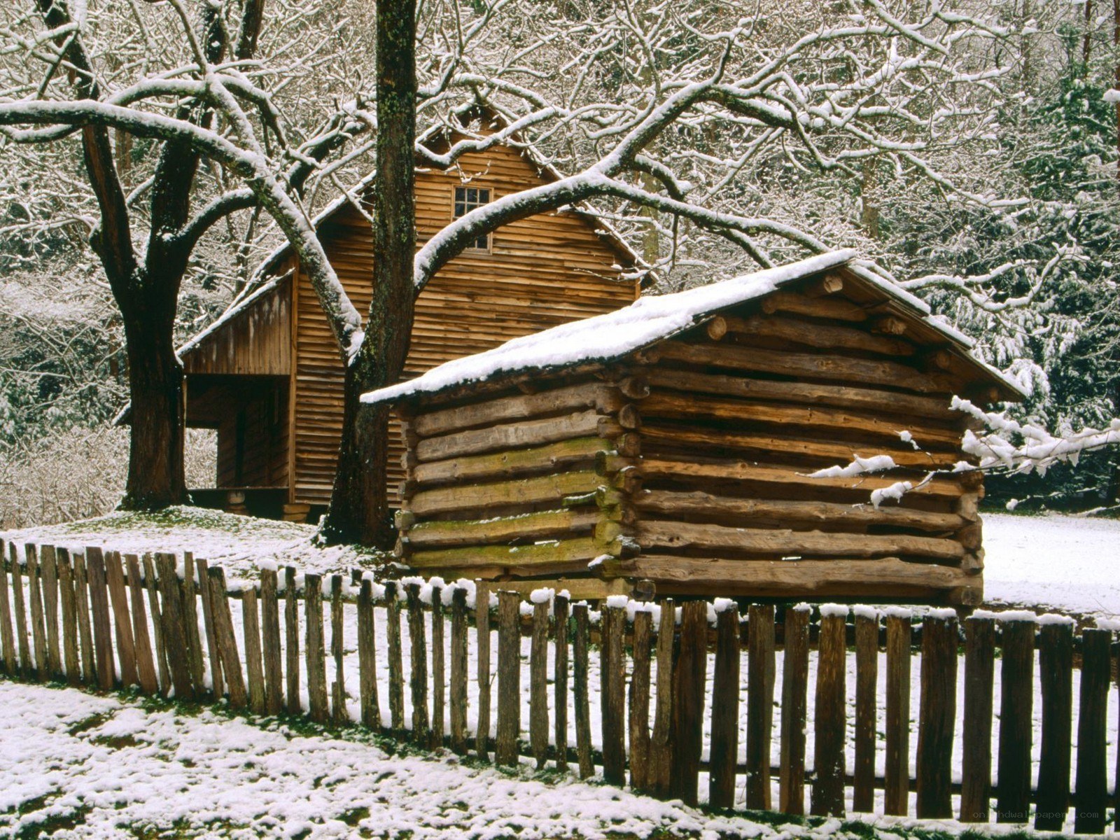 Snowy log cabin in winter