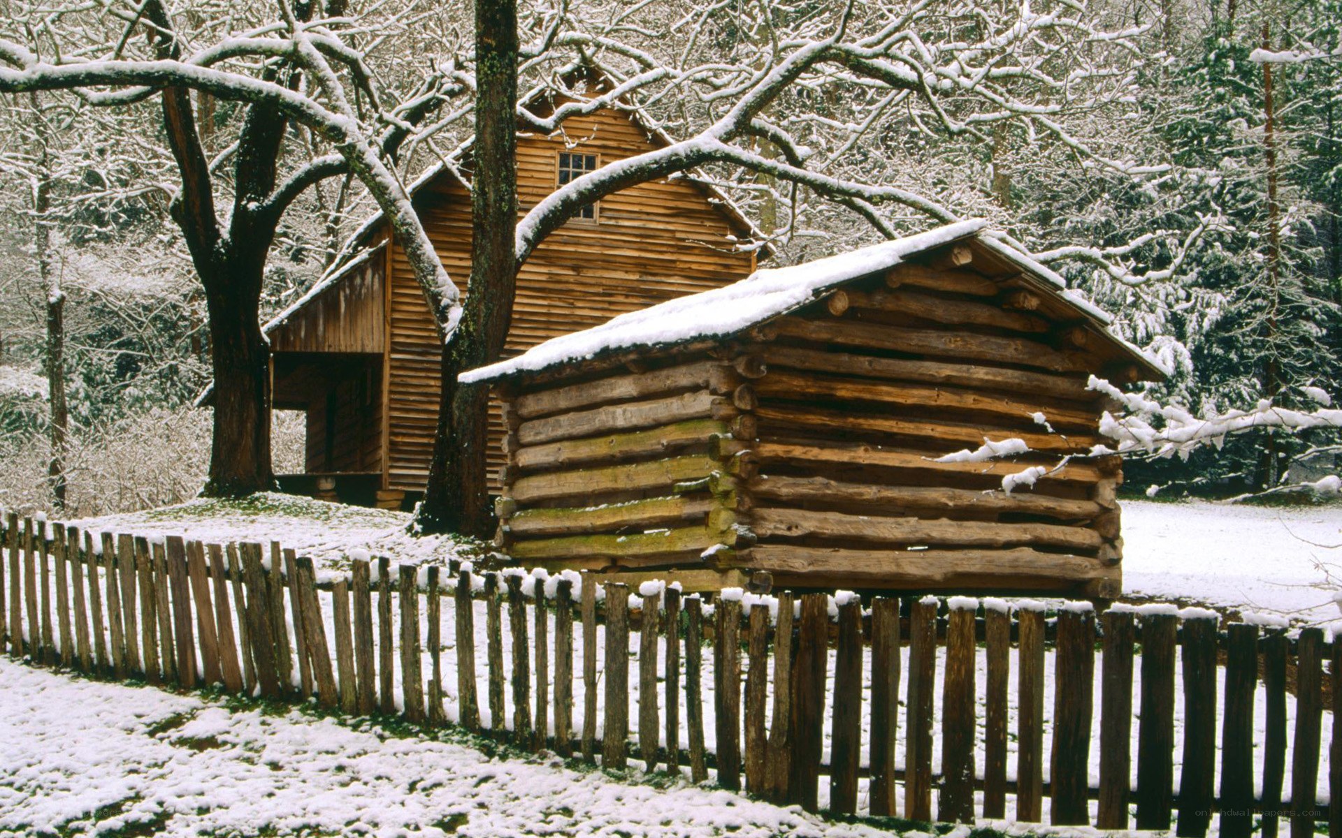 Snowy log cabins in winter