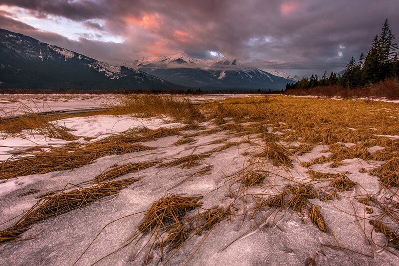 Snowy Marsh with Mountains