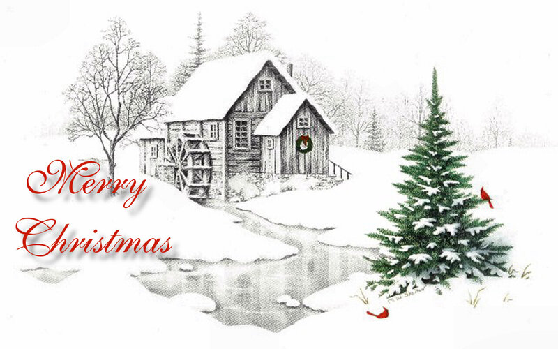 Snowy Mill House