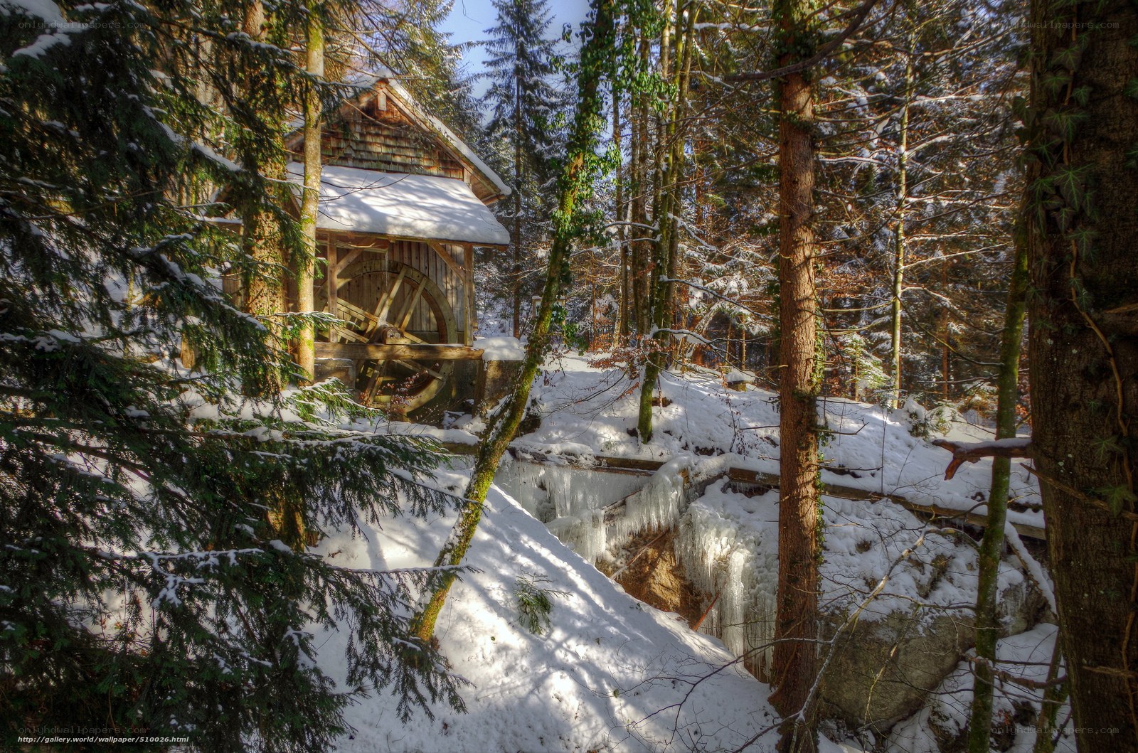 Snowy mill in forest