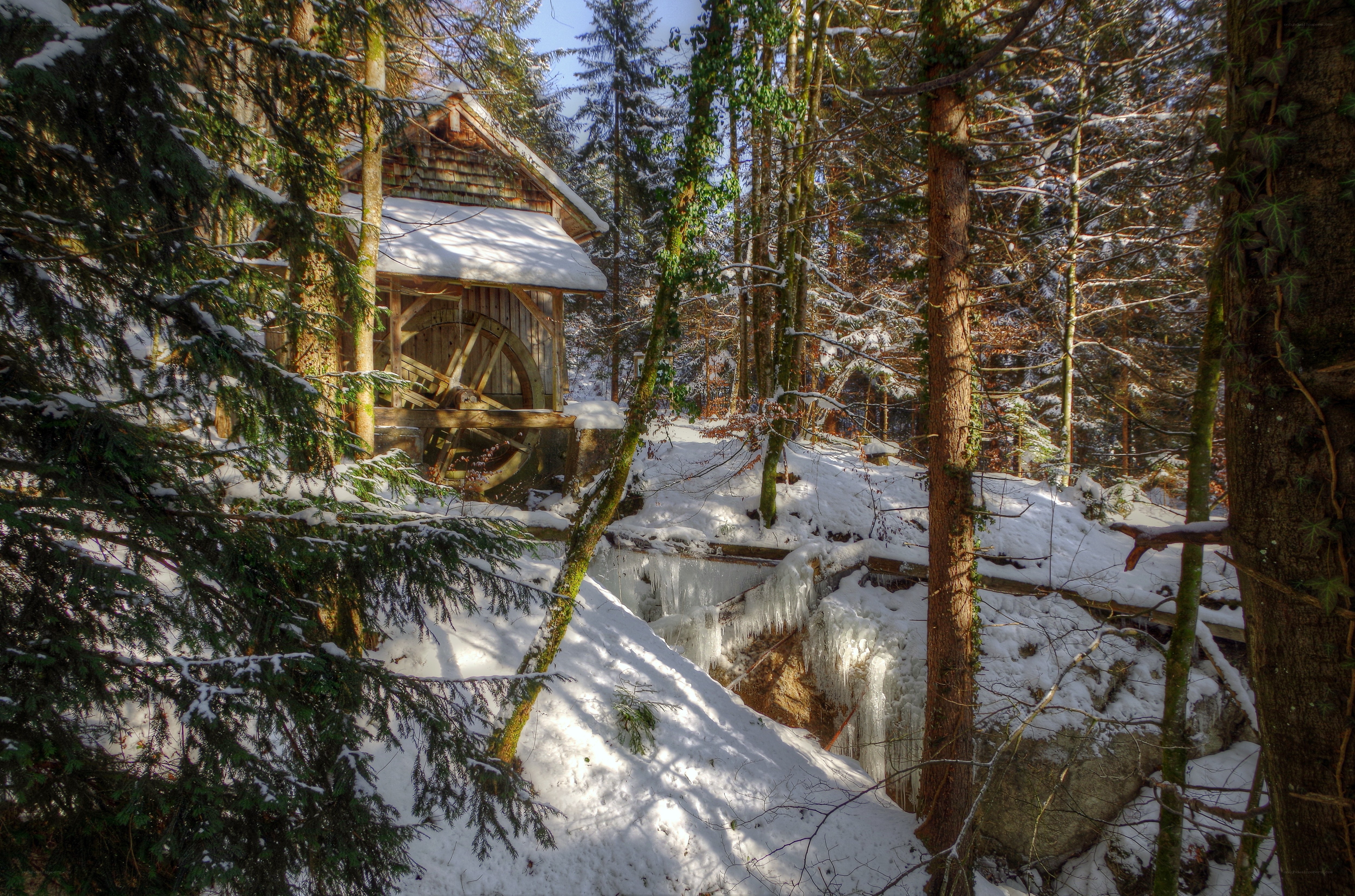 Snowy mill in forest